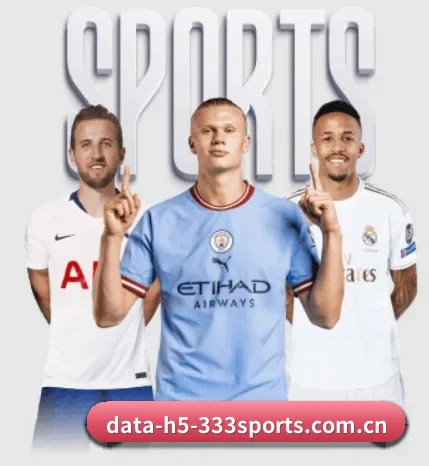 平台愿景 - 长期内容价值积累 | 333sports